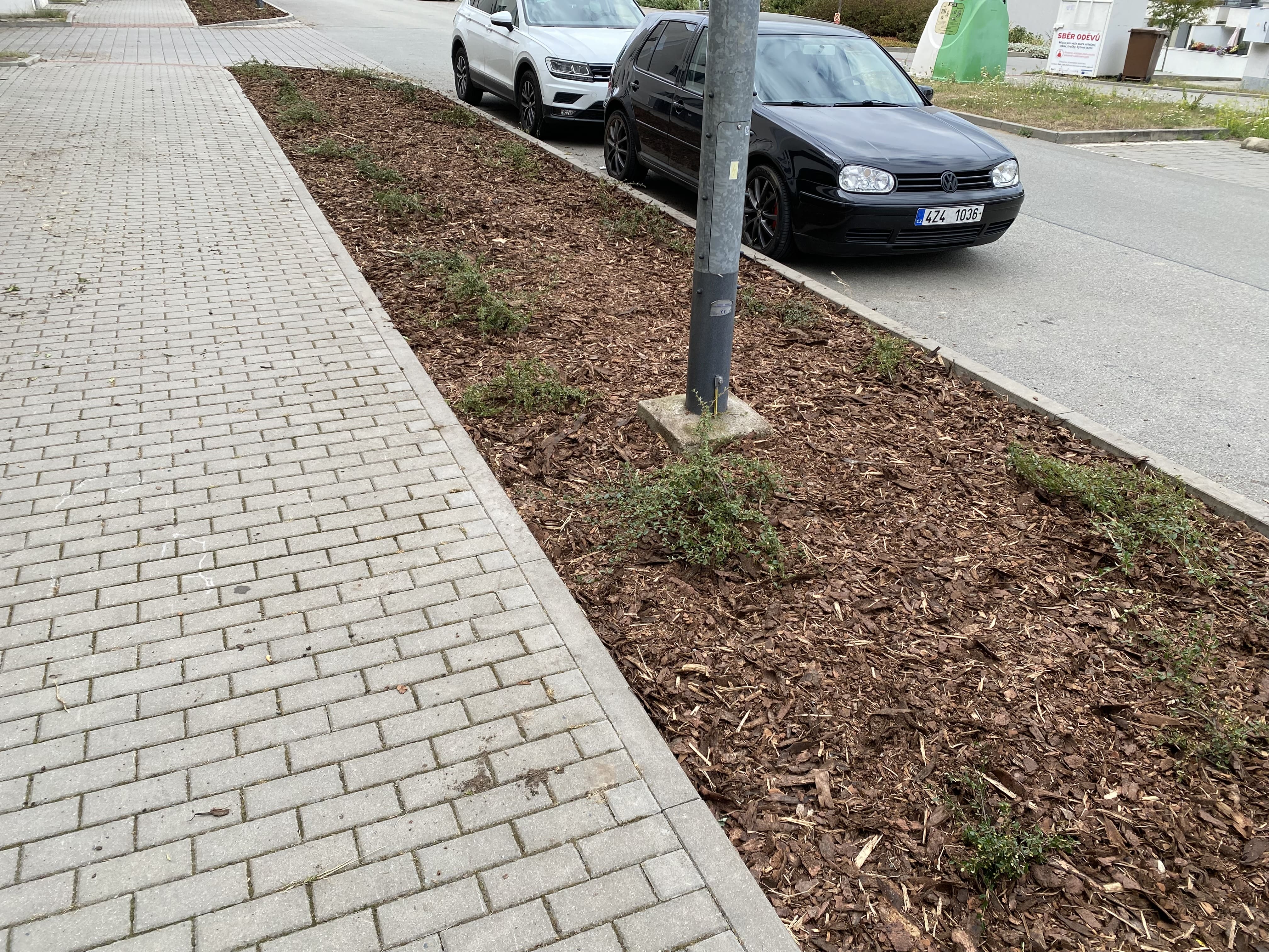 Čištění